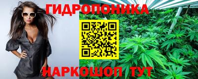 mdpv Краснокаменск